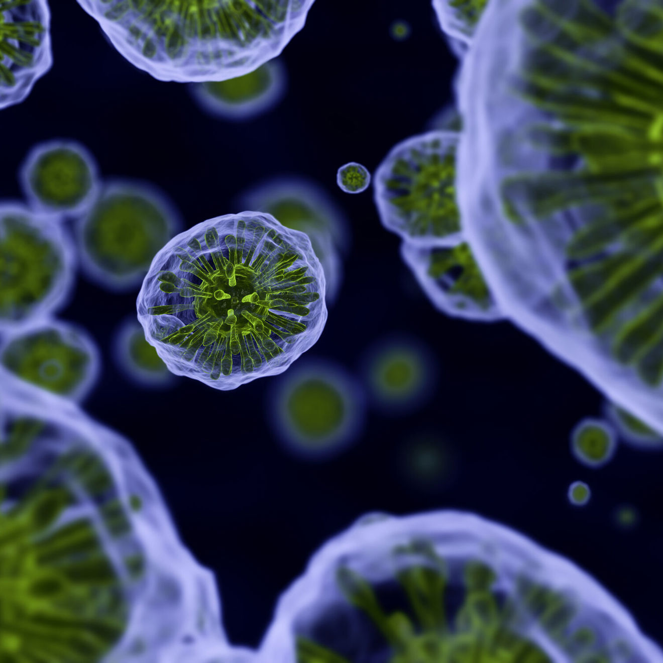 RTW Foundation – Advancing rare disease research