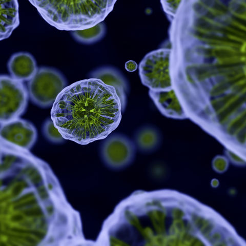 RTW Foundation Publishes New Insights on Ultra-Rare Disease Drug Development
