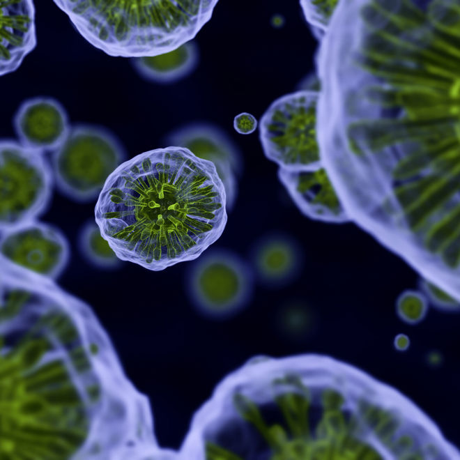 RTW Foundation Publishes New Insights on Ultra-Rare Disease Drug Development